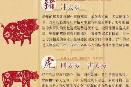 算命说几岁行运什么意思