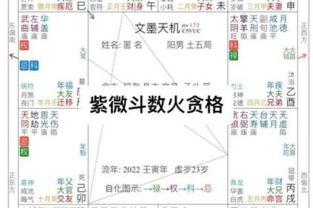 紫薇斗数太阳馅流年如何