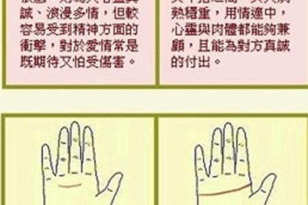 如何看手相算命看手相怎么看 如何看手相算命图片大全图解