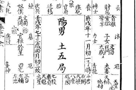 紫薇斗数全书架构