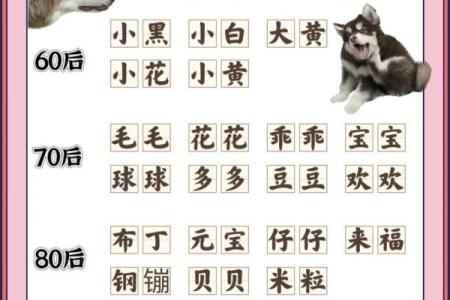 给狗狗起名字-狗名大全-母狗狗的名字-公狗狗的名字-名字大全-华易算命网姓名
