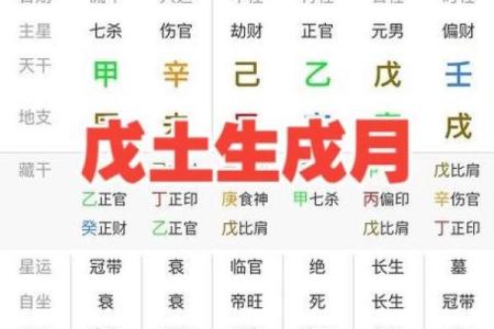 子戌暗合会发生什么事,八字婚姻宫暗合不适合结婚