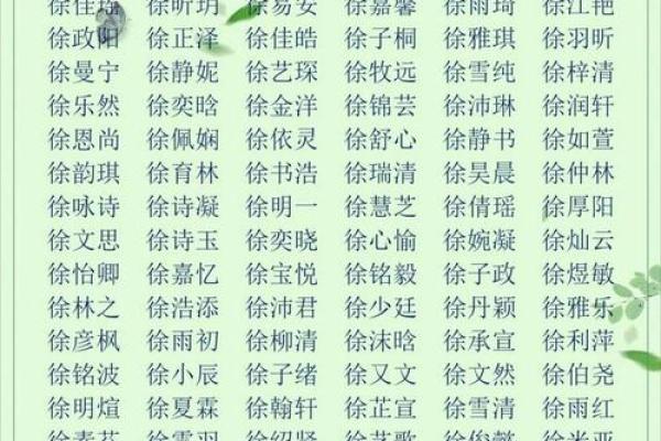 2019年6月22号寅时出生的男孩起名方法姓名