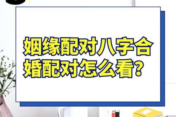 男八字和女八字如何配对