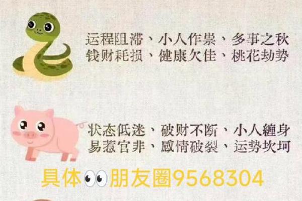 生肖算命软件