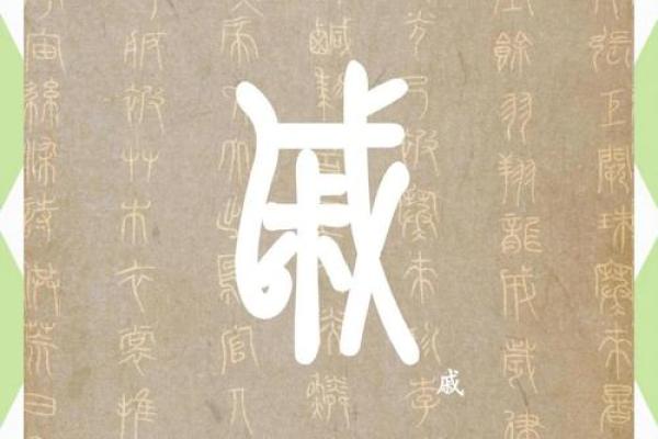 戚姓男孩名字大全-戚姓男孩起名字大全-戚姓名字大全姓名