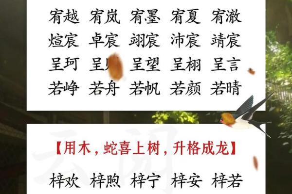起名网生辰八字起名