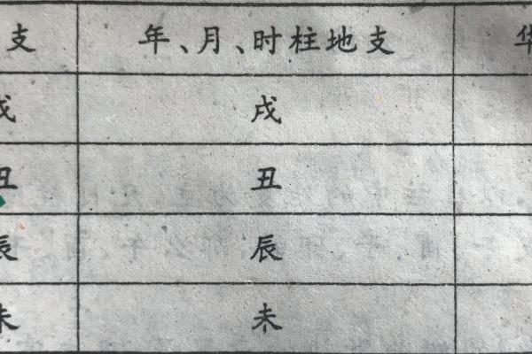 八字看日坐华盖,日柱带华盖