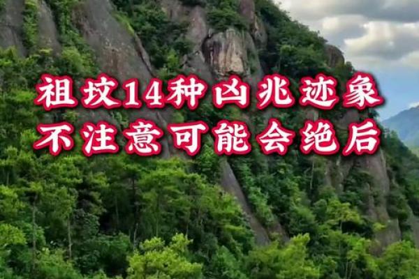 子孙后代风水
