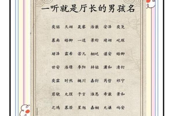 属猪辰时出生的男孩如何取名字，宜用什么字姓名