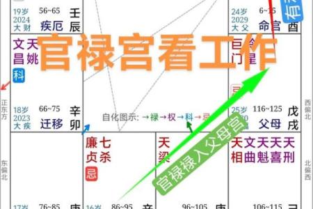 紫薇斗数看事业升迁