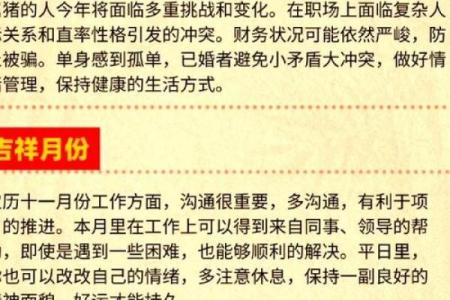 属猪算命,属猪人运程