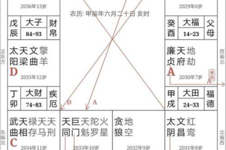 紫微斗数诸星落诸宫之：太阴星夫妻宫详解