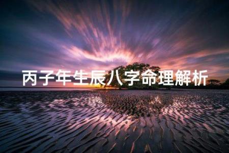 丙子日八字