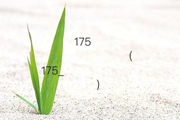 观音灵签29