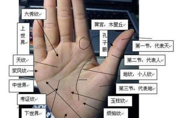男人左手手纹算命图解 男人左手手相