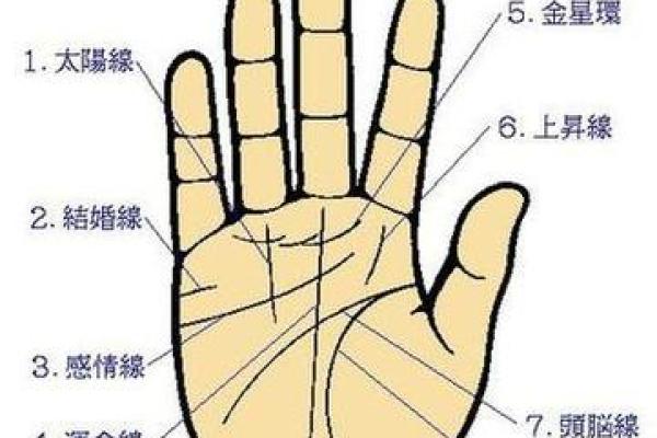 男人左手手纹算命图解 男人左手手相