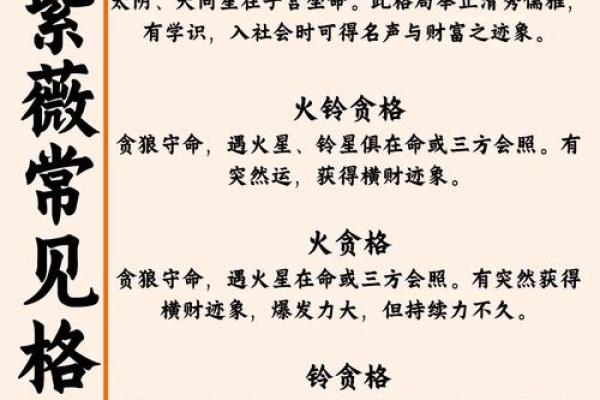紫薇斗数火空则发多大财