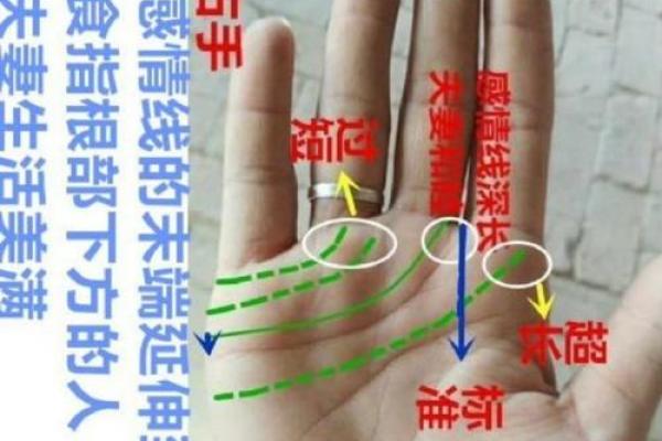 手相算命：假夫子眼的命运如何