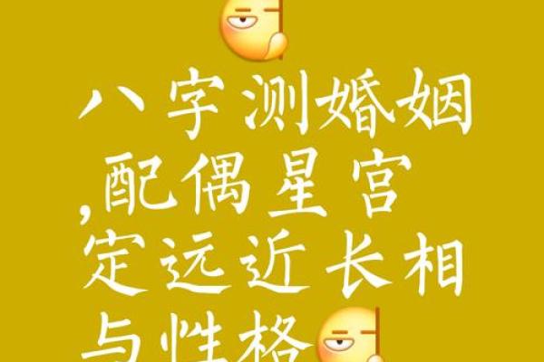 看命运八字