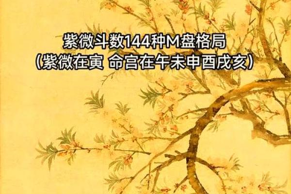 慧心斋紫薇斗数