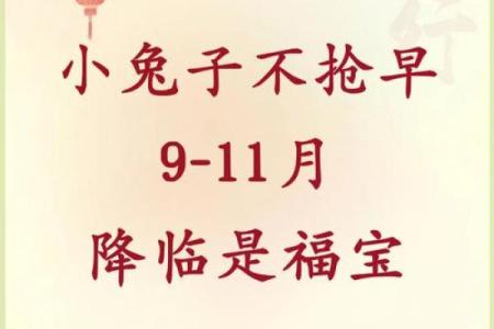 早上7点出生的属兔男孩如何取名姓名
