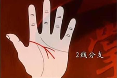 肝癌和血癌八字