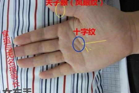手相算命：假夫子眼的命运如何