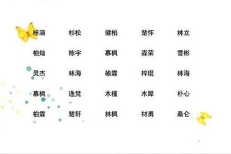 孩子起名字大全免费男,孩子名字测试