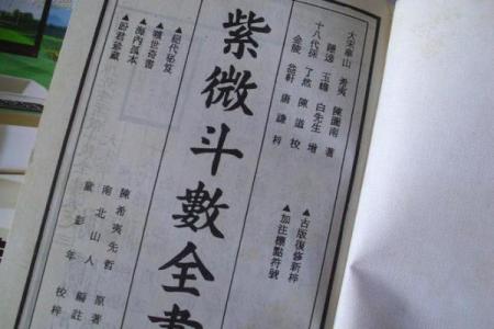 倪师紫薇斗数