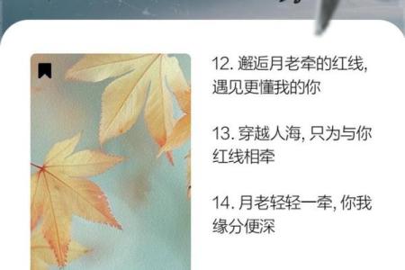 月老牵红线姻缘小说 月老牵红线姻缘小说免费阅读？