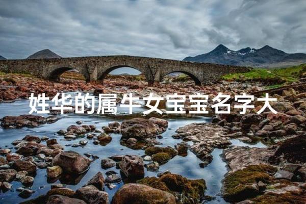 要如何给早上9点出生的属牛男孩取名字姓名