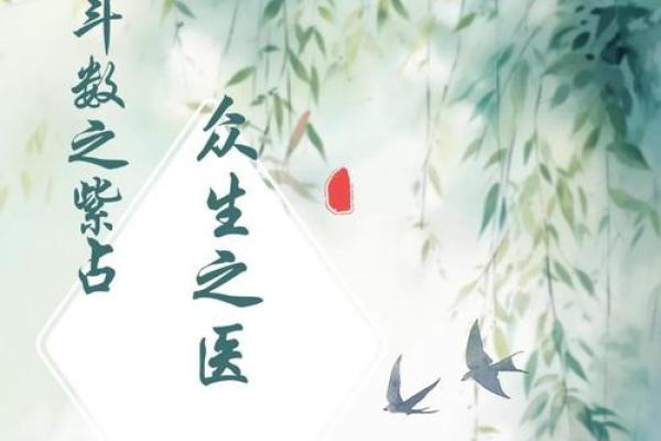 紫微斗数之疾厄宫与诸星，天同星在疾病宫是什么意思？