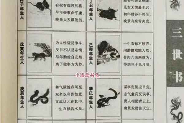 算命看你有几个前世今生