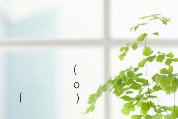 月老灵签77解签