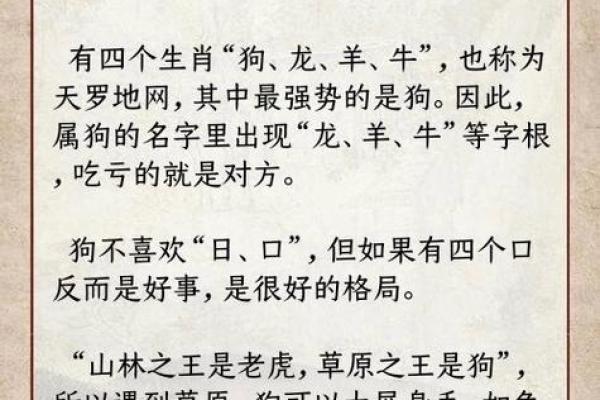 早上出生的属狗男孩怎么取名 ，宜用什么字姓名