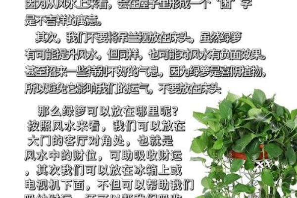 大师说的风水常识