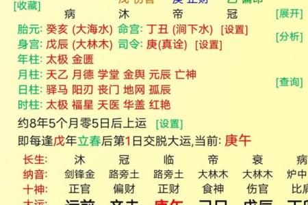 八字木火为用神