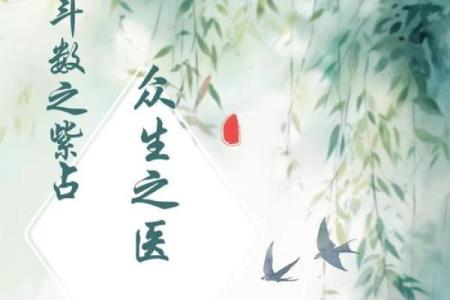 紫微斗数之疾厄宫与诸星，天同星在疾病宫是什么意思？