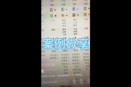 八字基础视频