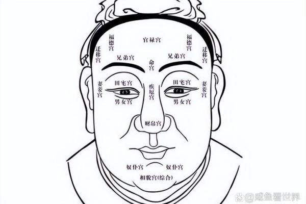 26种面型算命图解