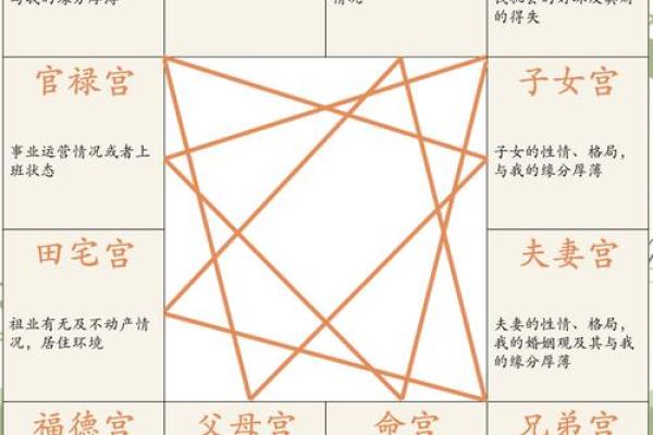 紫薇斗数测事业成就