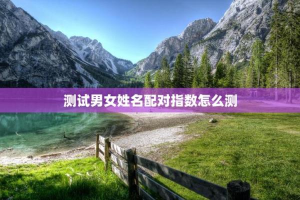 超准姓名配对测试题 姓名配对测试软件？