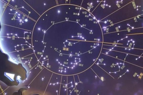 紫薇斗数星星得
