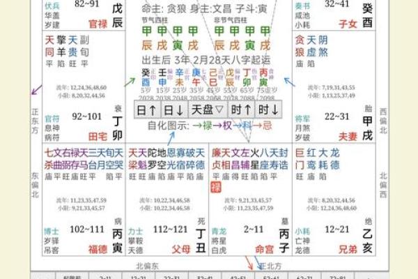 紫薇斗数在线分析免费