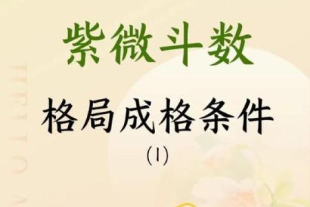 紫微斗数之岁限的经验论断：限年的一些经验之谈