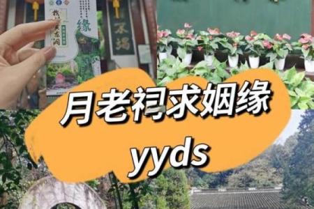 月老测姻缘 月老怎么求姻缘？