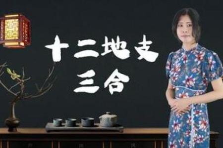 倩女合八字