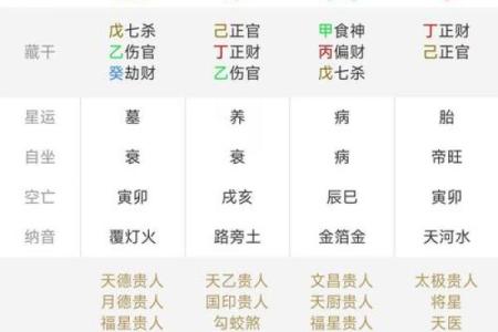 生辰八字排盘,生辰八字排盘算命详解