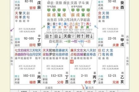 紫薇斗数在线分析免费